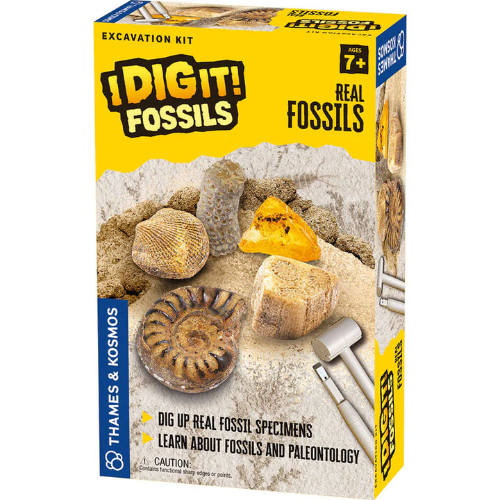 630461_Fossils-Excavation_3dboxfront_web_800x_jpg