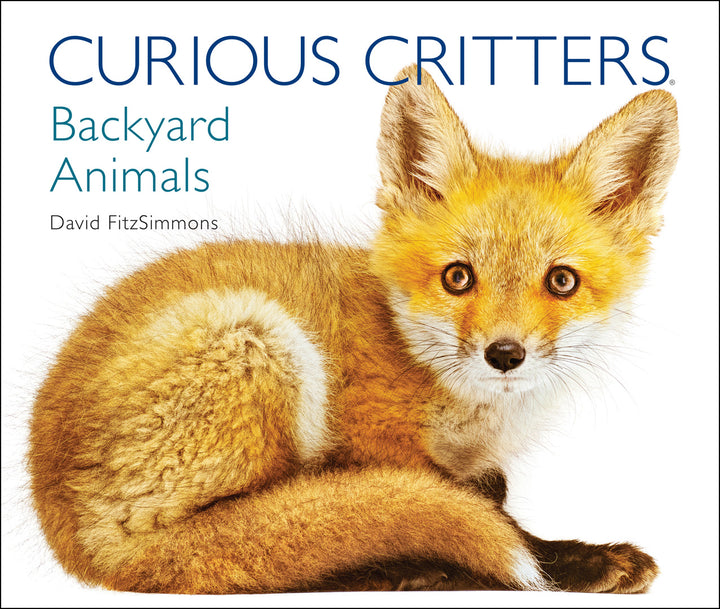 CURIOUS-CRITTERS-Backyard-Animals-Cover-1k