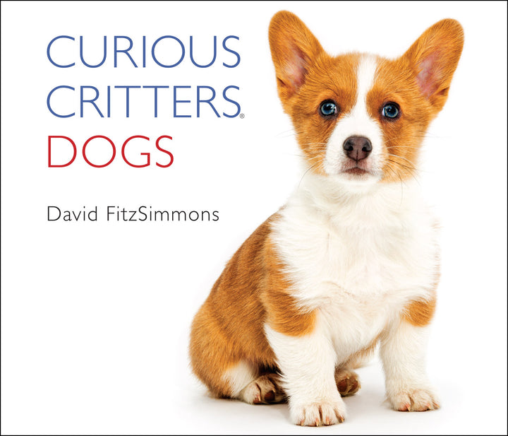 CURIOUS-CRITTERS-Dogs-Cover-1k-2
