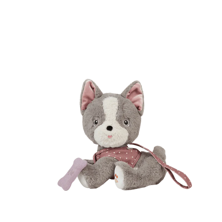 dinkum_dog_gizmo_800x_png